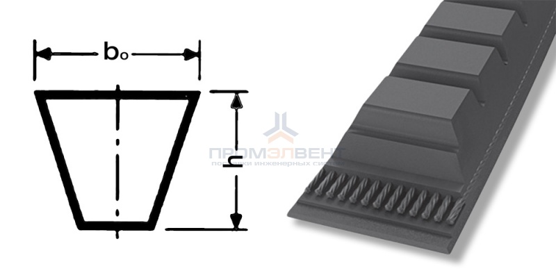 ремень xpa 1232
