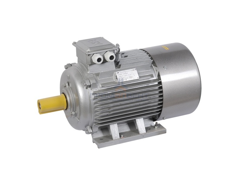 Электродвигатель асинхронный 3ф. АИР 180S4 660В 22кВт 1500об/мин (лапы) 1081 DRIVE IEK